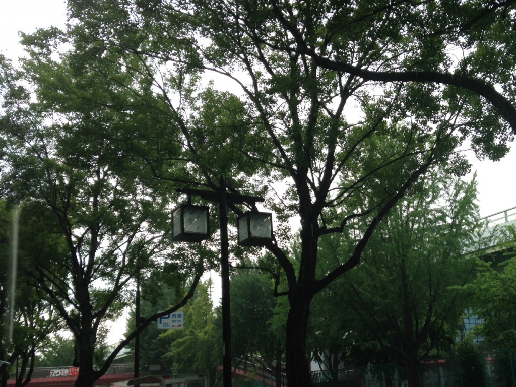 aa