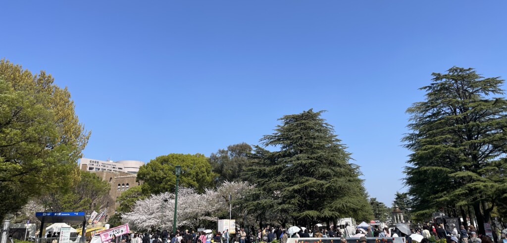 「始まり」の予感に包まれて。鶴舞公園の桜と新年度の決意